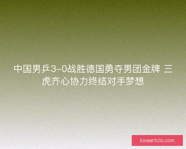 中国男乒3-0战胜德国勇夺男团金牌 三虎齐心协力终结对手梦想 中国男乒3-0战胜德国勇夺男团金牌 三虎齐心协力终结对手梦想