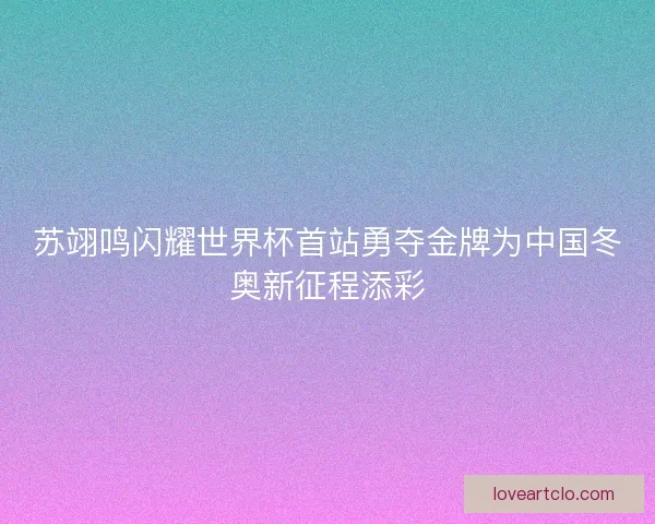 苏翊鸣闪耀世界杯首站勇夺金牌为中国冬奥新征程添彩