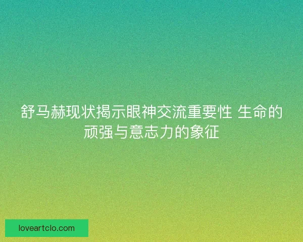 舒马赫现状揭示眼神交流重要性 生命的顽强与意志力的象征
